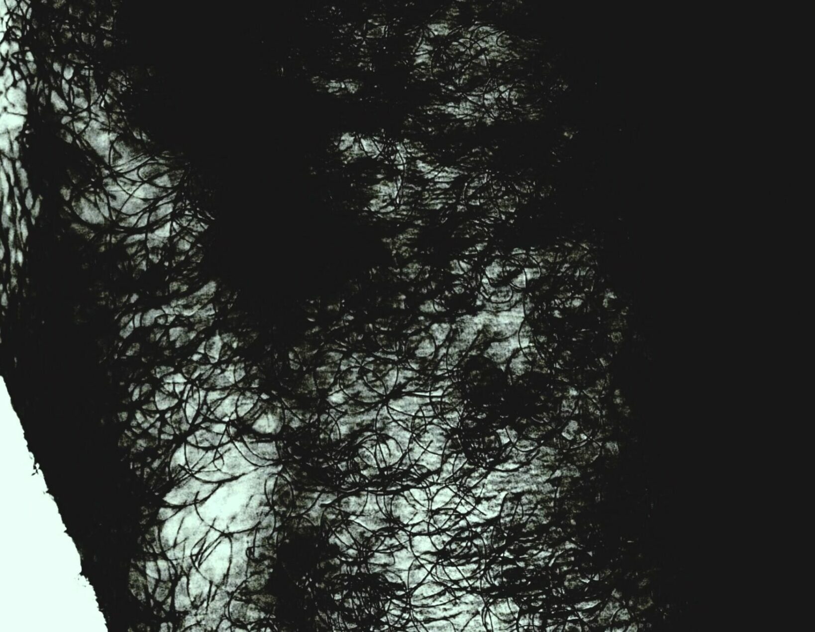 /// BODY LANGUAGE #2
