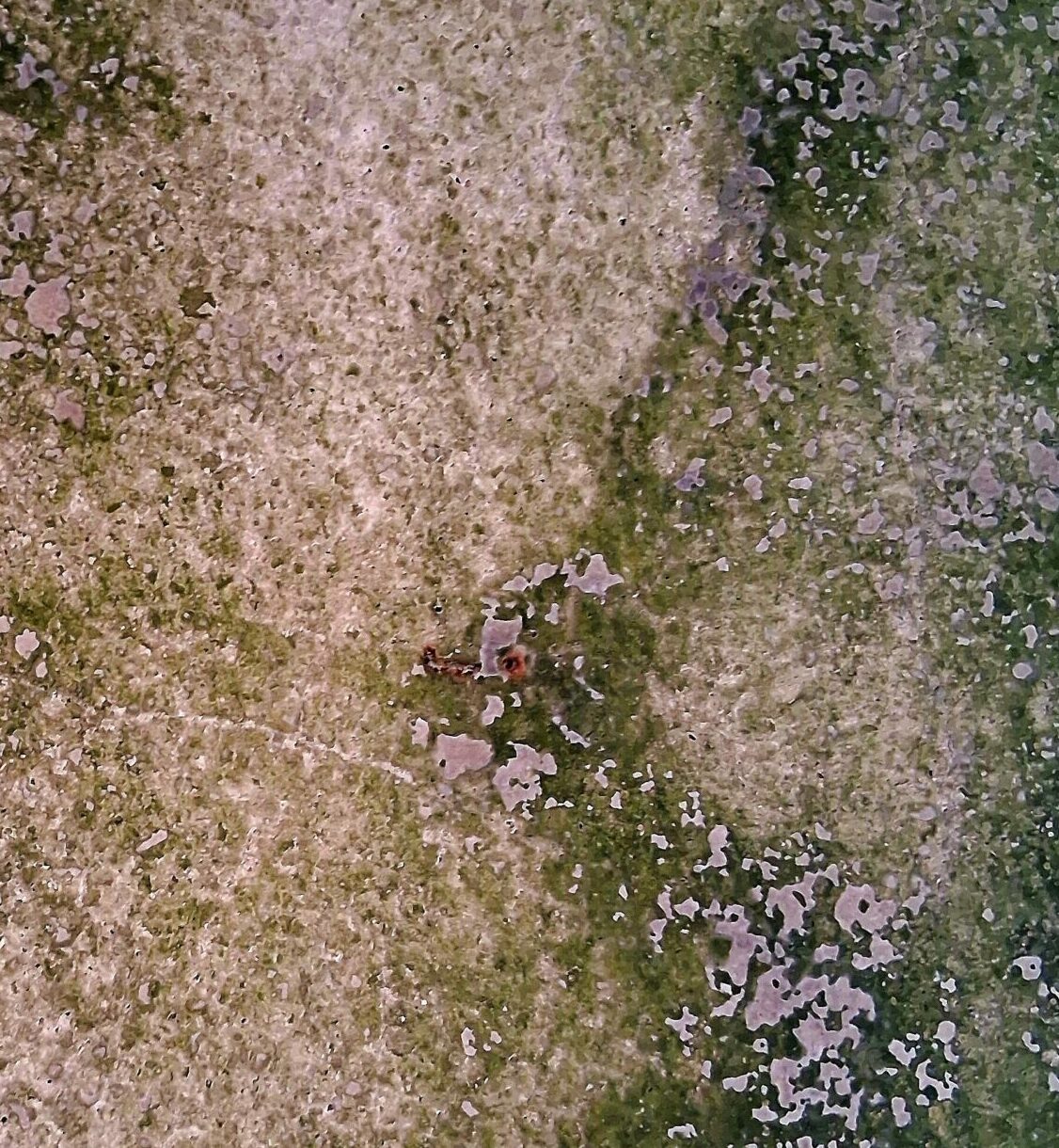 //A RIMMING SEQUENCE//