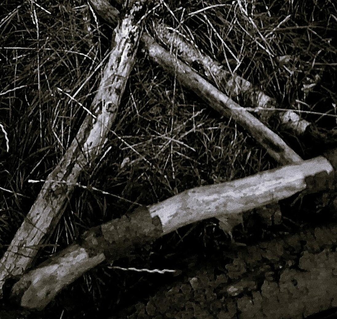//A BROken BoDy iS STill a bOdY//