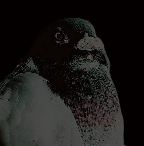 //What the Hell are You Looking At?