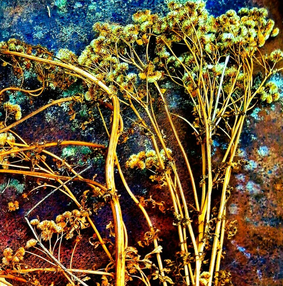 //The Seeds of Failure///